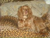 Игорь Горох фотография #17 (источник - https://vk.com/id6322143)