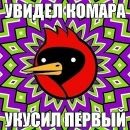 Ian Jones фотография #49 (источник - https://vk.com/id10176532)