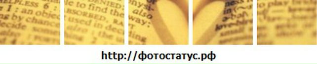 Евгения Рысева фотография #24 (источник - https://vk.com/id13180000)