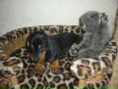 Фотография Поповой Ани