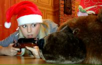 Фотография  Гвоздь Ольги