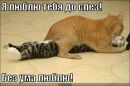 ♥♥♥Июня ♥♥♥ фотография #18 (источник - https://vk.com/id53909317)