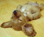 Сергій Смирно фотография #5 (источник - https://vk.com/id15216353)