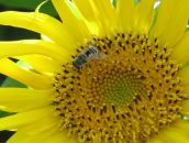 Фотография Кащеевой Татьяны