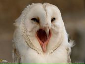 Фотография Припачкина Александра