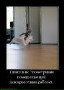 Фотография Свириной Светкин