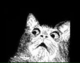 Фотография Даниловой Светланы