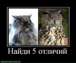Валерій Ковальчук фотография #22 (источник - https://vk.com/id15956110)
