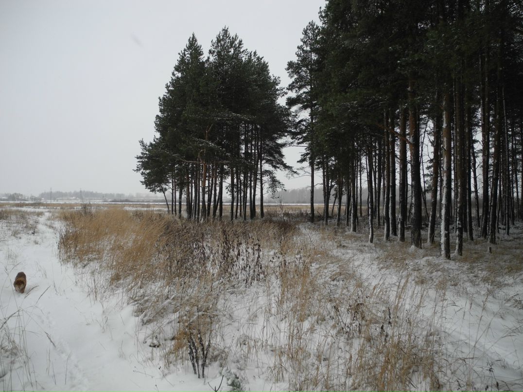 Илья Маслов фотография #27