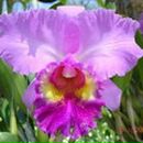 Фотография Гариповой Айгуль