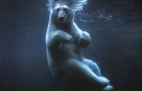 Фотография Шунаева Сергея