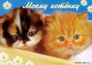 Міша Романюк фотография #34 (источник - https://vk.com/id80403807)