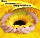 Aliss Air фотография #33 (источник - https://vk.com/id166324420)