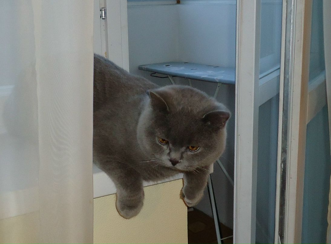 Марина Цепелёва фотография #6