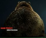 Фотография Соколова Пашки