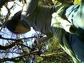 Елена Зачиняева фотография #40 (источник - https://vk.com/id34202879)