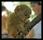 Фотография Расюкевича Ивана