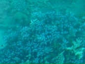 Антон Симаков фотография #39 (источник - https://vk.com/id917581)