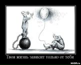 Фотография Нечаева Игоря