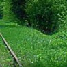 Андріана Петерсон фотография #19 (источник - https://vk.com/id156584043)