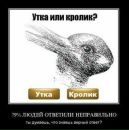 Сергій Наліжитий фотография #37 (источник - https://vk.com/id15306051)