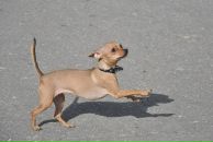 Фотография Костиной Анастасии