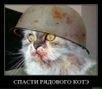 Славік Палканинець фотография #8 (источник - https://vk.com/id81011160)