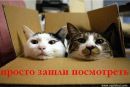 Фотография Андреевича Александра