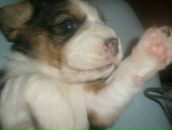 Фотография Михневич Екатерины