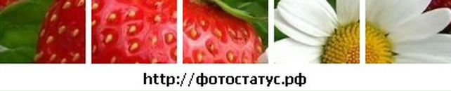 Вікуся Ковальчук фотография #2 (источник - https://vk.com/id107113724)