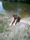 Юлія Помiнкевич фотография #27 (источник - https://vk.com/id136504411)