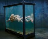 Фотография Деревянко Агаты