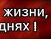 Олексій Зомчак фотография #36 (источник - https://vk.com/id141563411)