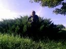 Аліночка Воловець фотография #21 (источник - https://vk.com/id88303934)