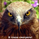Фотография Набатчикова Владислава
