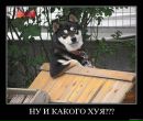 Віталій Дідович фотография #27 (источник - https://vk.com/id78979337)