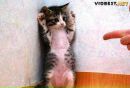 Фотография Ключника Сергея