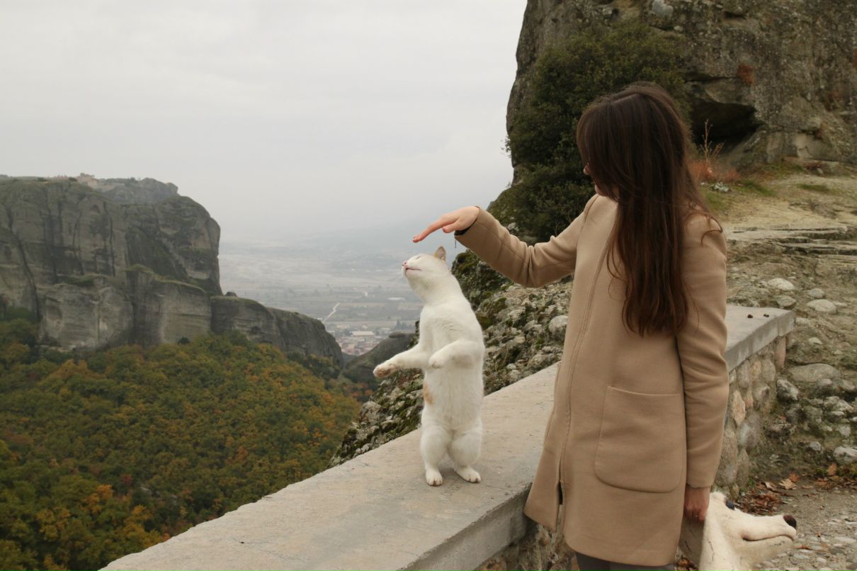 Даша Гасимова фотография #45