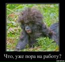 Фотография Болденкова Александра