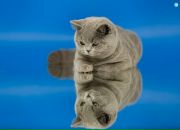 Deniz True фотография #23 (источник - https://vk.com/id595884)