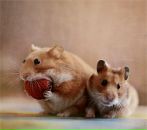 Фотография Горячева Лидия