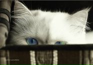 Фотография Кананыхиной Евгении