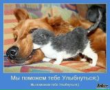 Ірина Шевченко фотография #37 (источник - https://vk.com/id17011710)