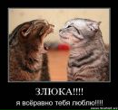 Фотография Тамиевой Анны