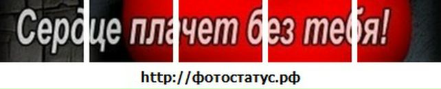 Иван Выборнов фотография #11 (источник - https://vk.com/id135063415)