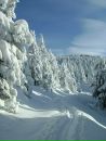 Валік Скавинський фотография #13 (источник - https://vk.com/id134139222)