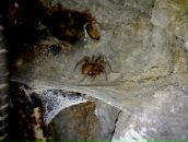 Антон Даник фотография #3 (источник - https://vk.com/id23089571)