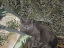 Сергій Демченко фотография #41 (источник - https://vk.com/id63404165)