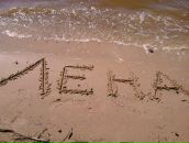 Фотография Тарасовой Елены