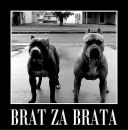 Тарас Михайлів фотография #33 (источник - https://vk.com/id179106836)